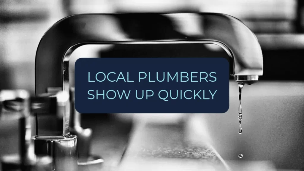 Why Local Plumbers Are Your Best Option