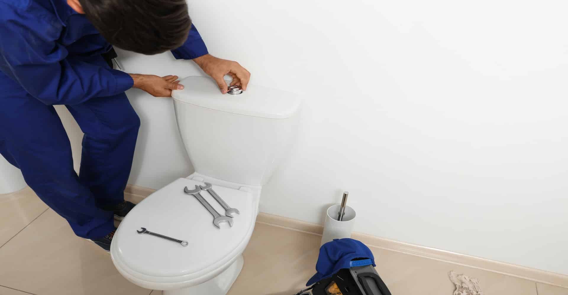 Why Is My Toilet Leaking Blue at Margaret Leigh blog