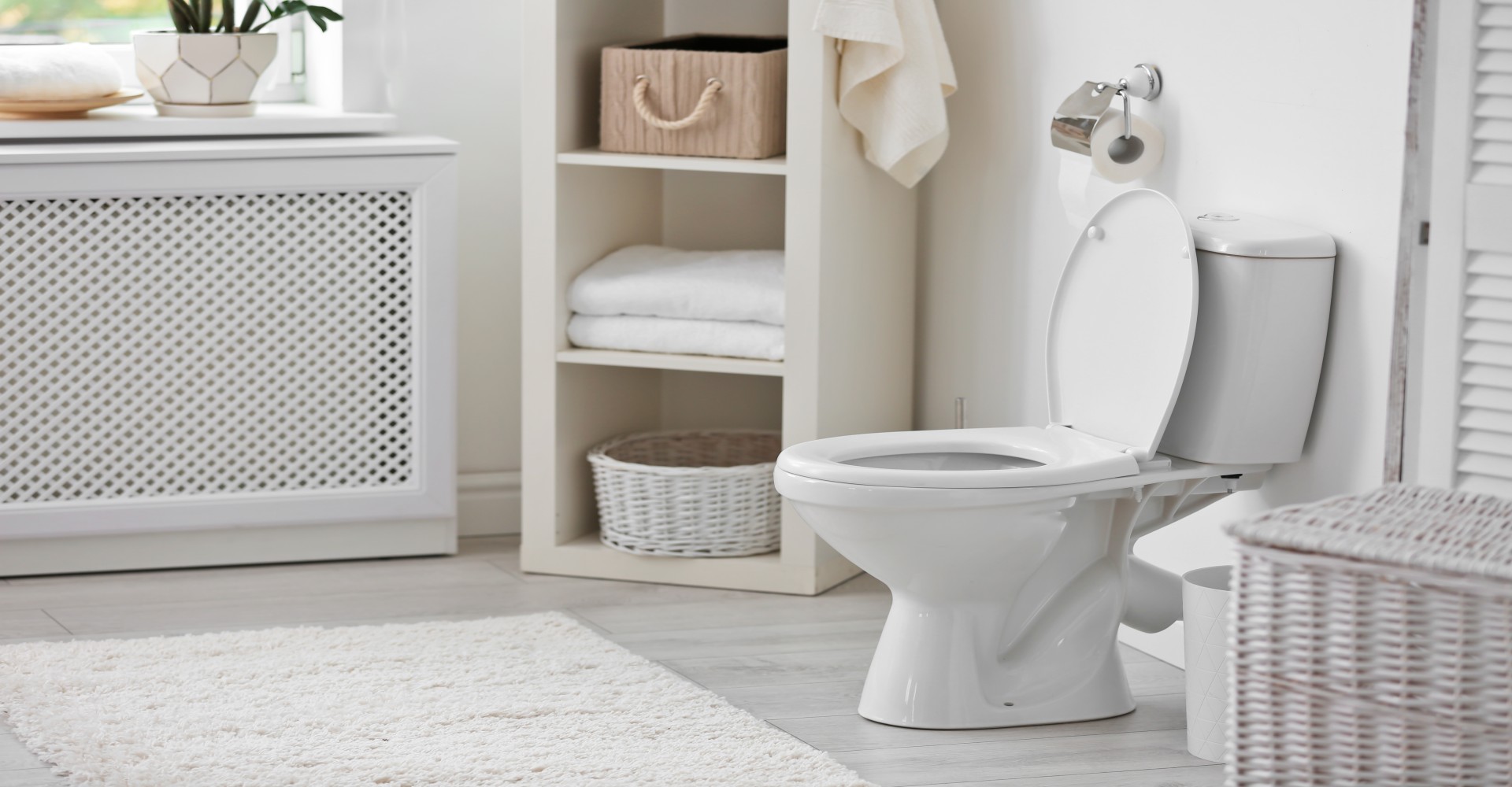  What Causes Rust Stains in Toilet