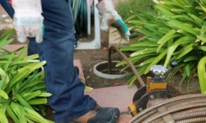 sewer line root removal